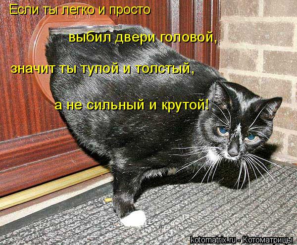 Если ты легко и просто выбил двери головой, значит ты тупой и толстый, а не сильный и крутой!... Котоматрица: Если ты легко и просто выбил двери головой, значит ты тупой и толстый, а не сильный и крутой!