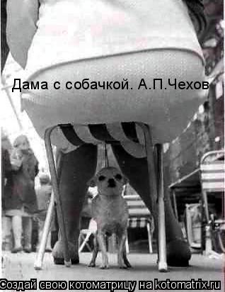 Дама с собачкой. А.П.Чехов... Котоматрица: Дама с собачкой. А.П.Чехов