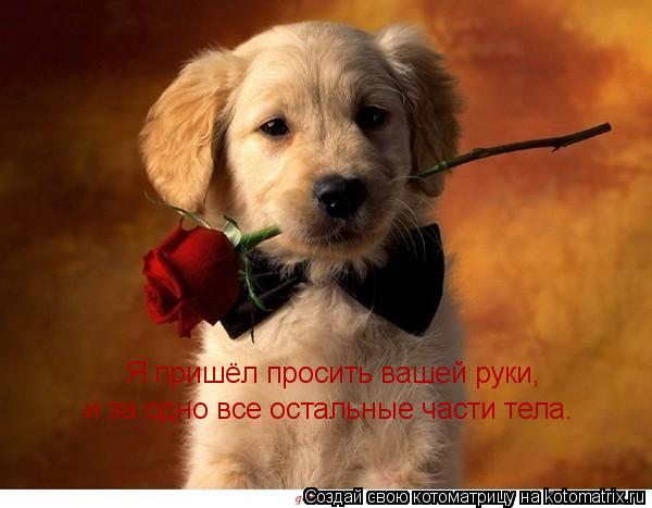 Я пришёл просить вашей руки, и за одно все остальные части тела.... Котоматрица: Я пришёл просить вашей руки, и за одно все остальные части тела.