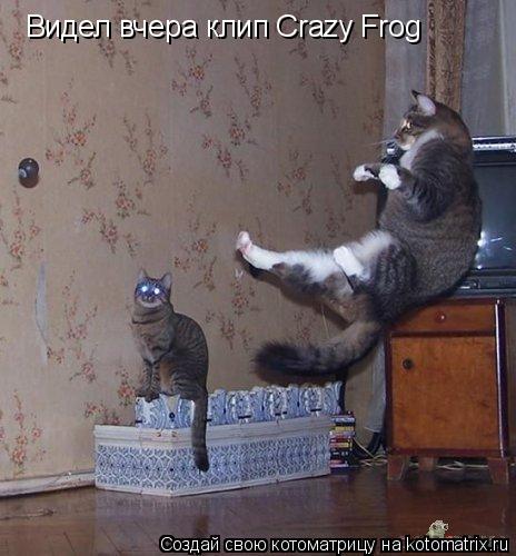 Видел вчера клип Crazy Frog... Котоматрица: Видел вчера клип Crazy Frog