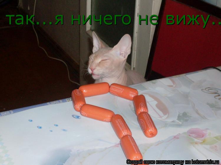 так...я ничего не вижу...... Котоматрица: так...я ничего не вижу...