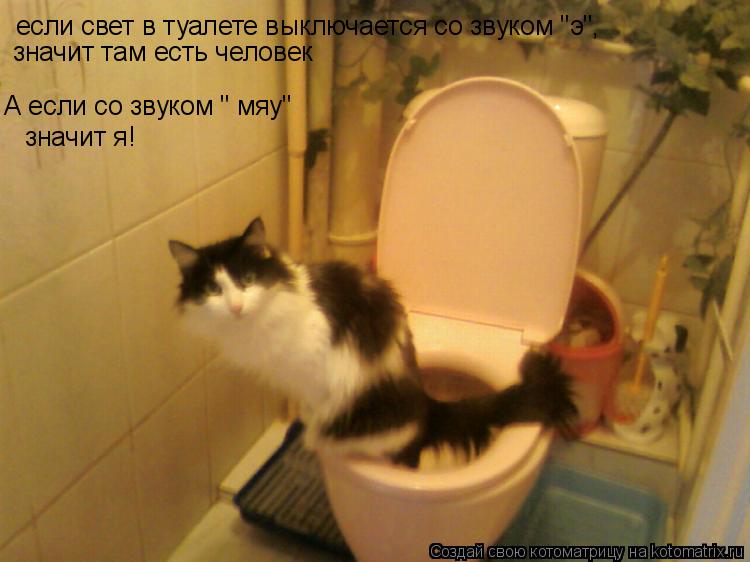 если свет в туалете выключается со звуком "э", значит там есть человек А если со звуком " мяу" значит... Котоматрица: если свет в туалете выключается со звуком "э", значит там есть человек А если со звуком " мяу" значит я!