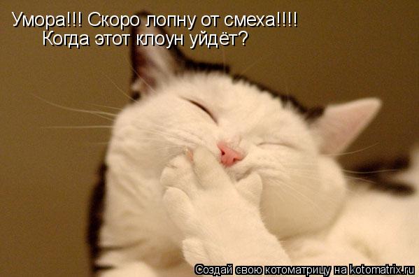 Умора!!! Скоро лопну от смеха!!!! Когда этот клоун уйдёт?... Котоматрица: Умора!!! Скоро лопну от смеха!!!! Когда этот клоун уйдёт?
