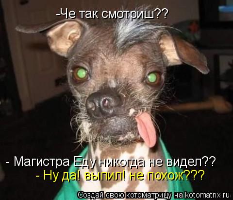 -Че так смотриш?? - Магистра Еду никогда не видел?? - Ну да! выпил! не похож???... Котоматрица: -Че так смотриш?? - Магистра Еду никогда не видел?? - Ну да! выпил! не похож???