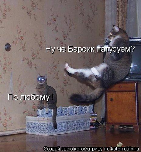 Ну че Барсик,патусуем? По любому !... Котоматрица: Ну че Барсик,патусуем? По любому !