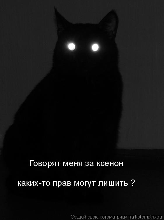 Говорят меня за ксенон каких-то прав могут лишить ?... Котоматрица: Говорят меня за ксенон каких-то прав могут лишить ?