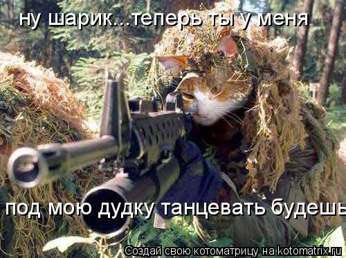 ну шарик...теперь ты у меня под мою дудку танцевать будешь... Котоматрица: ну шарик...теперь ты у меня под мою дудку танцевать будешь