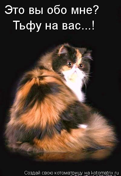 Это вы обо мне? Тьфу на вас...!... Котоматрица: Это вы обо мне? Тьфу на вас...!