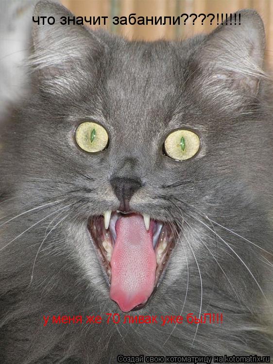 что значит забанили????!!!!!! у меня же 70 ливак уже быЛ!!!... Котоматрица: что значит забанили????!!!!!! у меня же 70 ливак уже быЛ!!!