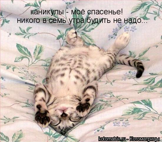 каникулы - моё спасенье! никого в семь утра будить не надо...... Котоматрица: каникулы - моё спасенье! никого в семь утра будить не надо...