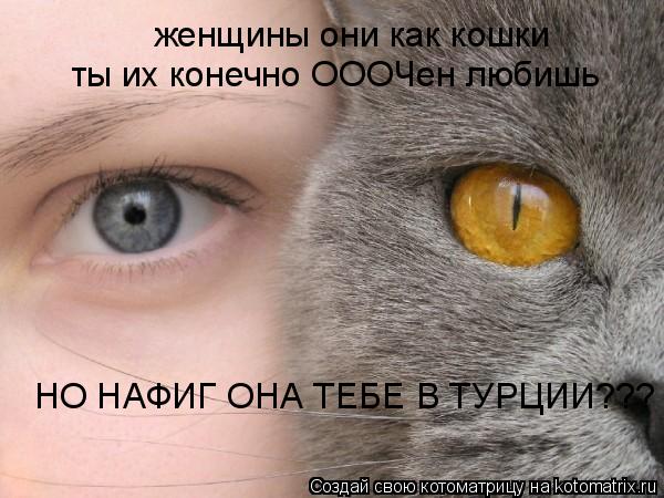 женщины они как кошки ты их конечно ОООЧен любишь НО НАФИГ ОНА ТЕБЕ В ТУРЦИИ???... Котоматрица: женщины они как кошки ты их конечно ОООЧен любишь НО НАФИГ ОНА ТЕБЕ В ТУРЦИИ???