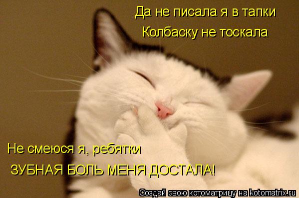 Колбаску не тоскала Да не писала я в тапки Не смеюся я, ребятки ЗУБНАЯ БОЛЬ МЕНЯ ДОСТАЛА!... Котоматрица: Колбаску не тоскала Да не писала я в тапки Не смеюся я, ребятки ЗУБНАЯ БОЛЬ МЕНЯ ДОСТАЛА!