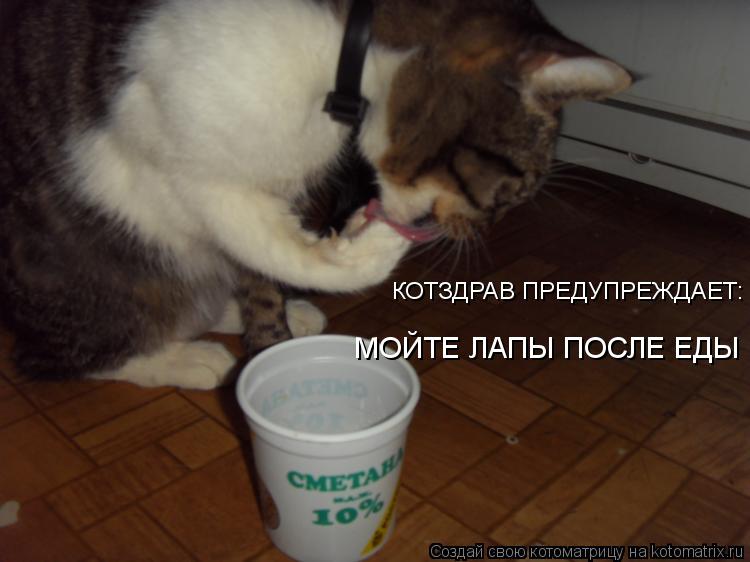 КОТЗДРАВ ПРЕДУПРЕЖДАЕТ: МОЙТЕ ЛАПЫ ПОСЛЕ ЕДЫ... Котоматрица: КОТЗДРАВ ПРЕДУПРЕЖДАЕТ: МОЙТЕ ЛАПЫ ПОСЛЕ ЕДЫ