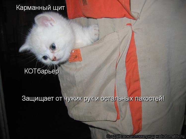 Котоматрица: Карманный щит КОТбарьер Защищает от чужих рук и остальных пакостей!