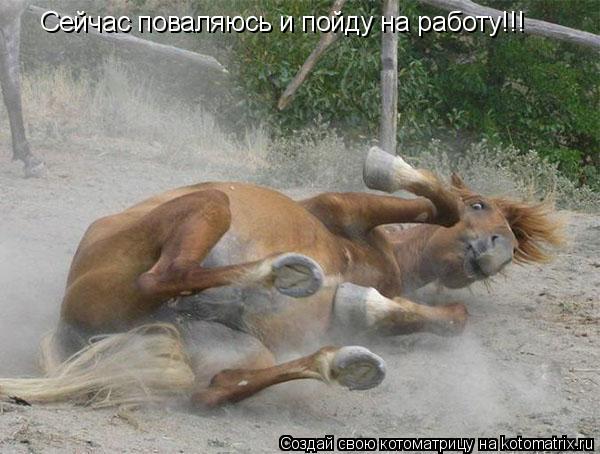 Котоматрица: Сейчас поваляюсь и пойду на работу!!!