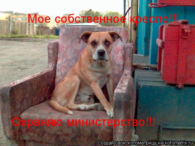 Котоматрица: Мое собственное кресло!!! Охраняю министерство!!!