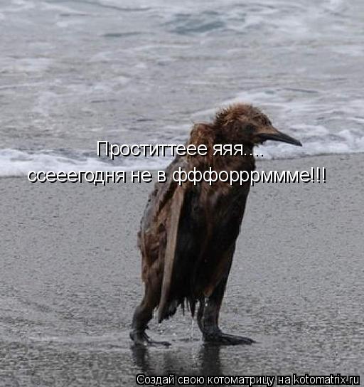 Котоматрица: Проститтеее яяя....  ссееегодня не в фффорррммме!!!