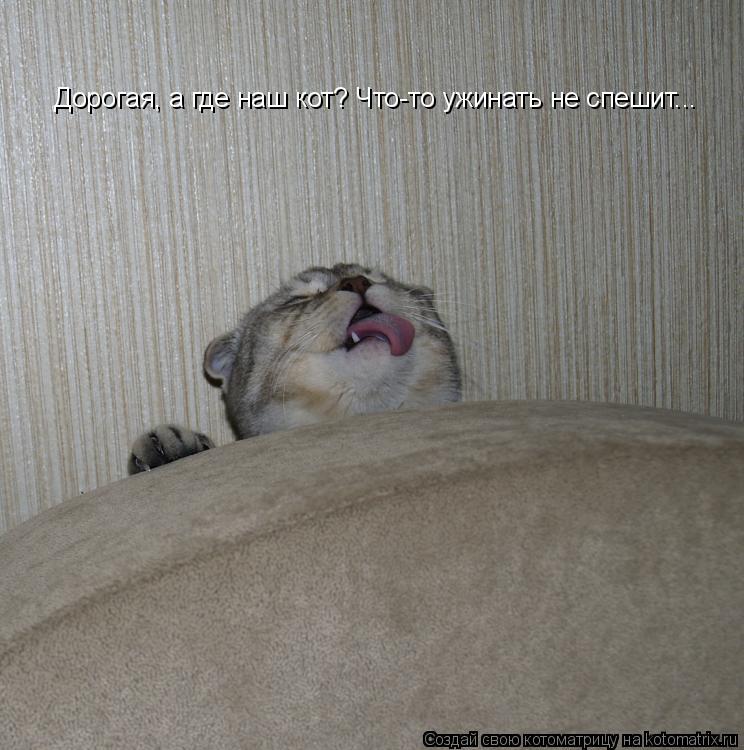 Котоматрица: Дорогая, а где наш кот? Что-то ужинать не спешит...
