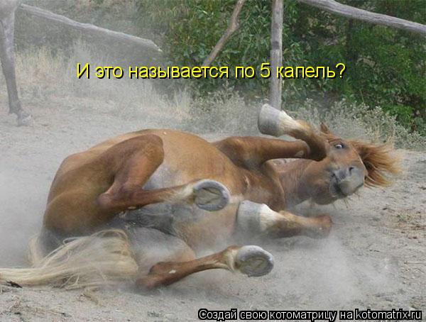 Котоматрица: И это называется по 5 капель?