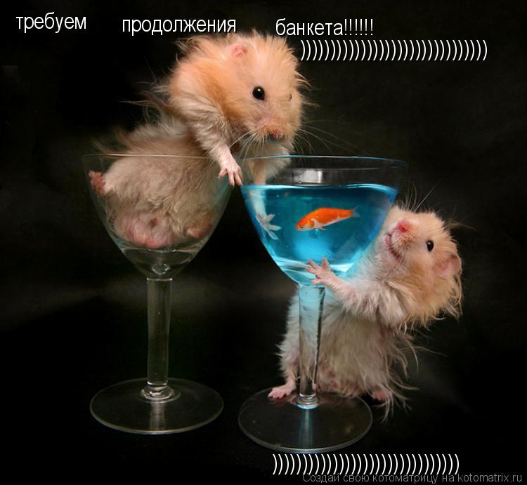 Котоматрица: требуем продолжения банкета!!!!!! ))))))))))))))))))))))))))))))) )))))))))))))))))))))))))))))))