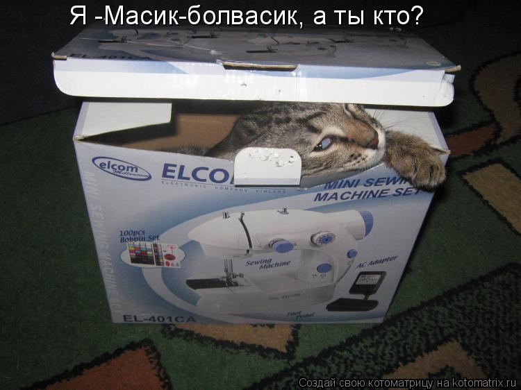 Котоматрица: Я -Масик-болвасик, а ты кто?