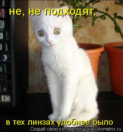 не, не подходят, в тех линзах удобнее было... Котоматрица: не, не подходят, в тех линзах удобнее было