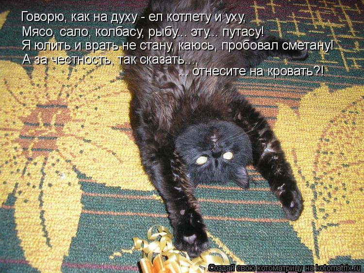Котоматрица: Говорю, как на духу - ел котлету и уху, Мясо, сало, колбасу, рыбу... эту... путасу! Я юлить и врать не стану, каюсь, пробовал сметану! ... отнесите на