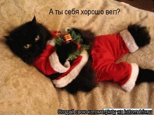 Котоматрица: А ты себя хорошо вел?