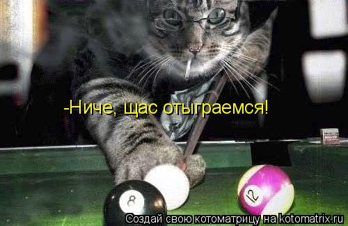 Котоматрица: -Ниче, щас отыграемся!