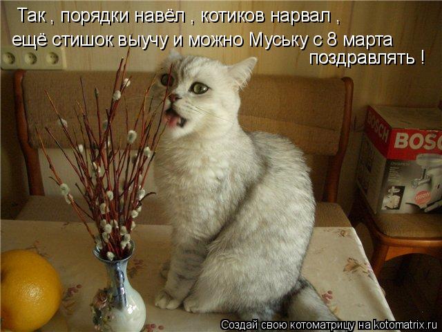 Котоматрица: Так , порядки навёл , котиков нарвал , ещё стишок выучу и можно Муську с 8 марта поздравлять ! поздравлять !