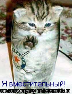 Котоматрица: Я вместительный!
