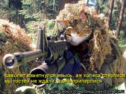 Котоматрица: самолет взметнулся ввысь, аж колеса стерлися,  мы гостей не ждали, а они приперлися