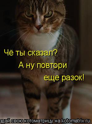 Котоматрица: Чё ты сказал? А ну повтори еще разок!