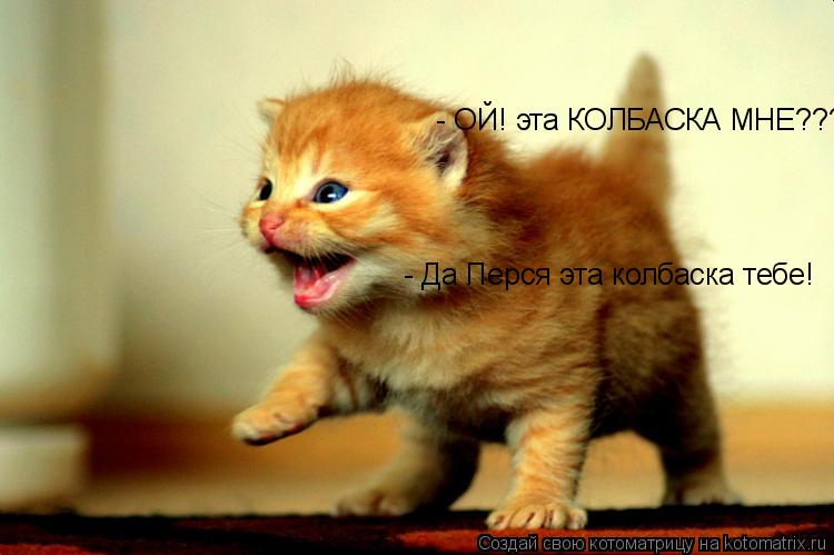 Котоматрица: - ОЙ! эта КОЛБАСКА МНЕ????  - Да Перся эта колбаска тебе!