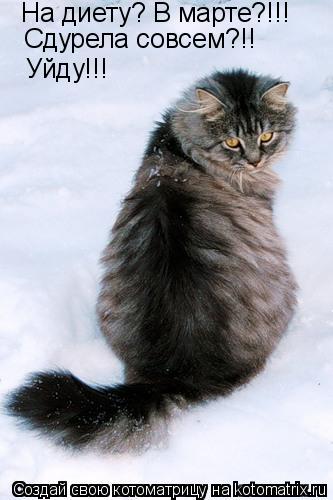 Котоматрица: На диету? В марте?!!! Сдурела совсем?!! Уйду!!!