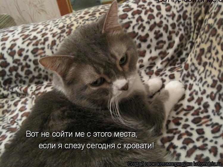 Вот не сойти ме с этого места, Вот не сойти ме с этого места, если я слезу сегодня с кровати!... Котоматрица: Вот не сойти ме с этого места, Вот не сойти ме с этого места, если я слезу сегодня с кровати!