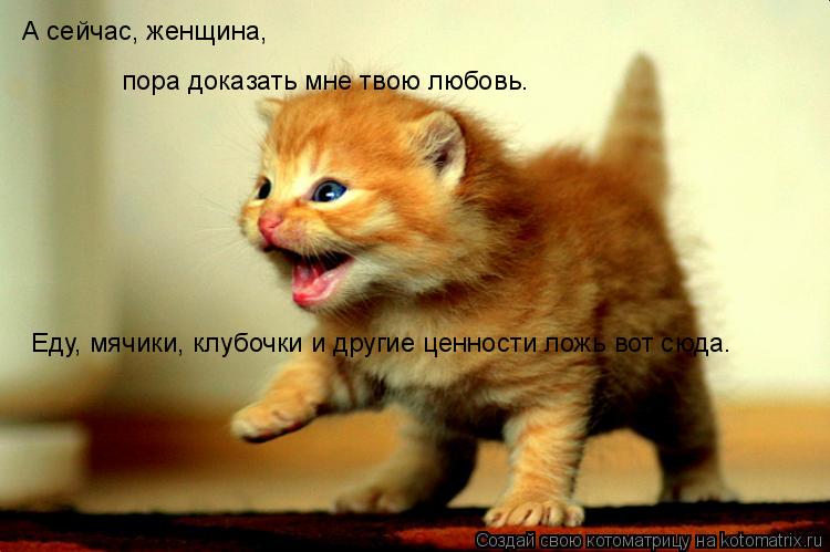 Котоматрица: А сейчас, женщина,   пора доказать мне твою любовь. Еду, мячики, клубочки и другие ценности ложь вот сюда.