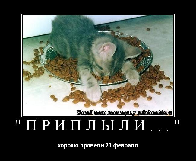 "Приплыли..." хорошо провели 23 февраля... Котоматрица: "Приплыли..." хорошо провели 23 февраля