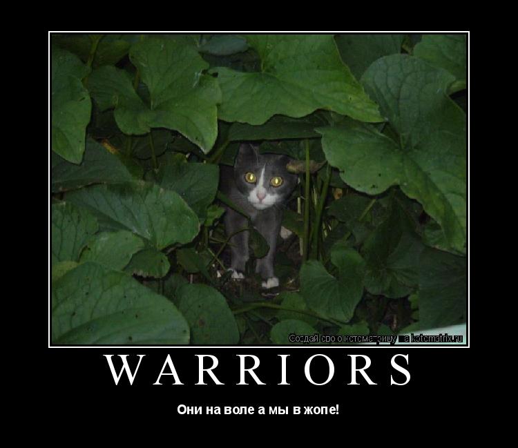 Котоматрица: Warriors Они на воле а мы в жопе!