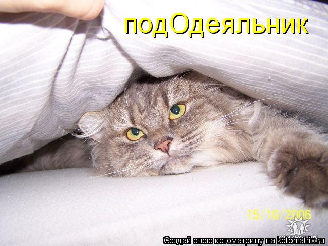 Котоматрица: подОдеяльник
