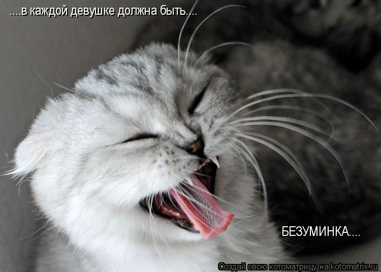Котоматрица: ....в каждой девушке должна быть.... БЕЗУМИНКА....