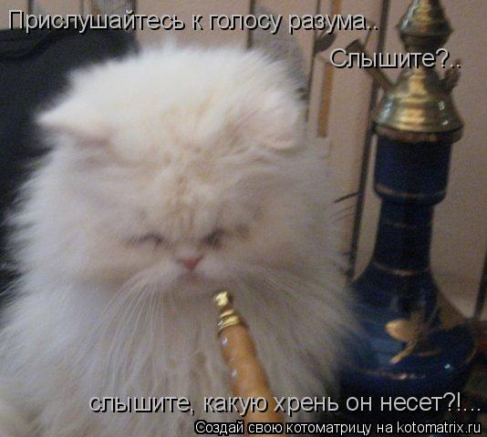 Котоматрица: Прислушайтесь к голосу разума.. Слышите?.. слышите, какую хрень он несет?!...