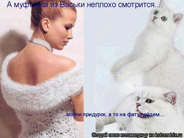 Котоматрица: А муфточка из Васьки неплохо смотрится.... ...молчи придурок, а то на фату пойдем...