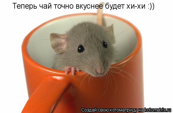 Котоматрица: Теперь чай точно вкуснее будет хи-хи :))