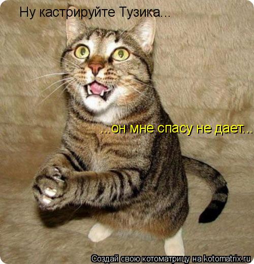 Котоматрица: Ну кастрируйте Тузика...  ...он мне спасу не дает...