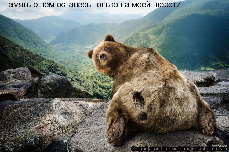 Котоматрица: память о нём осталась только на моей шерсти.