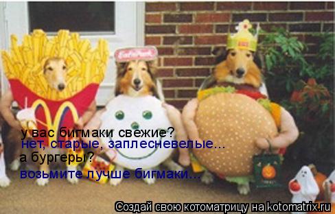 Котоматрица: нет, старые, заплесневелые... у вас бигмаки свежие? а бургеры? возьмите лучше бигмаки...