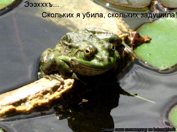 Котоматрица: Эээхххъ... Скольких я убила, скольких задушила!