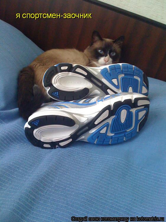 Котоматрица: я спортсмен-заочник я спортсмен-заочник