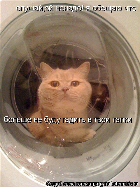 Котоматрица: слушай,эй ненадо! я обещаю больше не буду гадить в твои тапки что